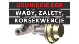 Usunięcie EGR - wady, zalety, konsekwencje