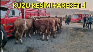 KIRIKKALE HAYVAN PAZARI 26 KASIM/SALES LİVESTOCK