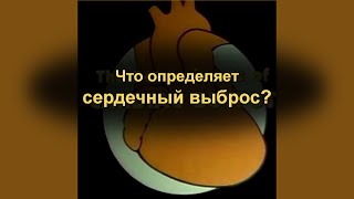 Что определяет сердечный выброс?