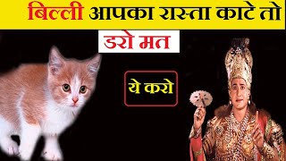 बिल्ली का रास्ता काटना अच्छा होता है या बुरा || billi ka rasta katne se kya hota hai