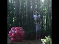 Guy Falls After Rope Swing Snaps