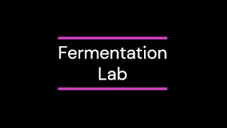 Fermentation Lab