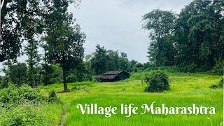 EP#17 മഹാരാഷ്ട്രയിലെ ഗ്രാമങ്ങളിലൂടെ... #travel #india #vlog #kerala #calicut #maharastra