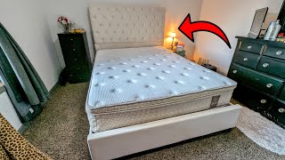 Velvet Upholstered Bed Frame Review AMERLIFE Queen Size