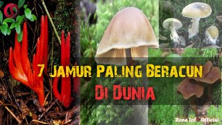 Awas..!!! Jangan Dekati, 7 Jamur Paling Beracun Di Dunia