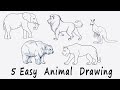 🟢 5 Easy Animal Drawing for Kids