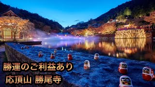 【応頂山　勝尾寺】神社映像  勝ちだるまが有名「勝運の御利益あり」