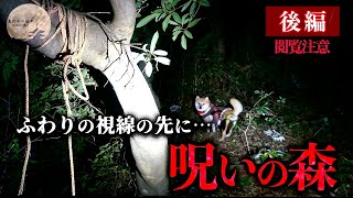 【心霊】※閲覧注意..自◯現場がそのまま残る場所で愛犬が感じていたもの【呪いの森】#106