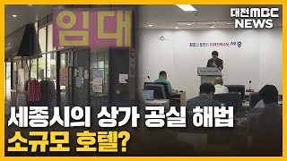 세종 소규모 호텔 '상권 활성화 VS 유흥화 우려'/대전MBC