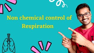 Regulation of Respiration - Non Chemical