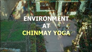 Environment at Chinmay Yoga - 200 hour, 300 hour Yoga Alliance Certification