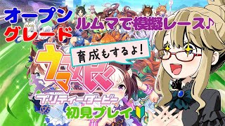 【ウマ娘】いよいよ明日はライブラ杯！育成＋ルムマで模擬レースしていくよ♪