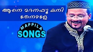 ആനെ മദനപ്പൂ കനി  തേനാളെ | Malayalam mappilapattukal | Edappal Bappu Songs 2015