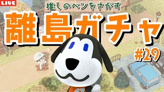 【あつ森】1000回以上探しても見つからない！ベンを探す離島ガチャ配信！【あつまれ どうぶつの森】