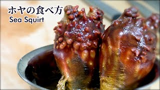 How to Eat Sea Squirt【English subtitles】