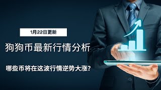 狗狗币 doge币 比特币 BTC 区块链 加密货币 最新行情走势分析，狗狗币、瑞波币会不会被特朗普纳入他的WLFI呢？又有哪些币表现超预期在这波行情逆势大涨？