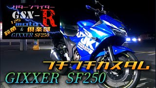 【GSX-R125/GIXXER SF250】プチプチカスタムジクサーSF250