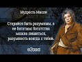 Эзоп Лучшие Цитаты и Слова Великого Баснописца Эзопа мудрые слова цитаты афоризмы