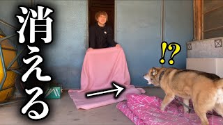 ビビり犬に「飼い主が消えるドッキリ」を仕掛けてみたら…!?