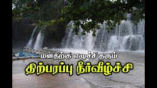 Thirparappu Falls( திற்பரப்பு அருவி )