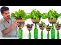 New Planting Ideas for Indoor Gardening / Self Watering System for Plants / DIY Garden Ideas