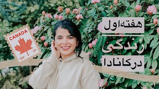 هفته اول زندگی در کانادا | مهم ترین کارهای  هفته اول | Our first week in Canada