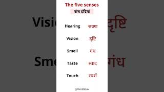 The five senses in Hindi | पांच इंद्रियां - #learninghindi #fivesenses