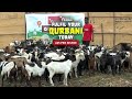 Make Your Qurbani Count Today