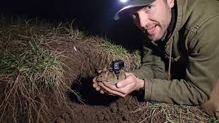 I Strapped a Tiny Camera to a Mouse Inside the Burrow (POV)