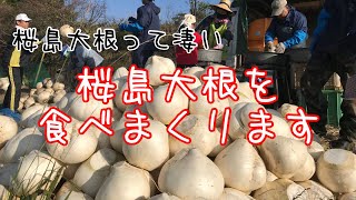 桜島大根を食べまくる！（かごしまホンモノの食研究会）