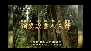 相思泪尽人未归 I  粵語  I  流行金曲  I  伴奏  I   KTV I KARAOKE版