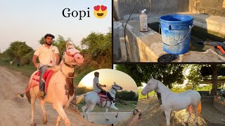 Ghana divso pchi gopi ni riding kri 😍🐴 || Gopi n vadye ly gya