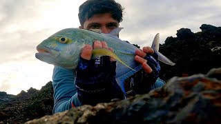 Shore jigging Omilu  - Hawaii Fishing