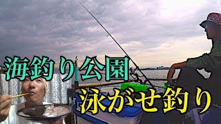 海釣り公園で泳がせ釣りして大物を狙う！やっぱり刺身だよね。