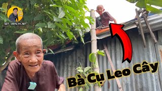 Xuất hiện bà cụ 85t leo cây nhanh hơn các chàng trai trẻ.