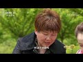 《我的美丽乡村》 20210909 “薯”出来的幸福生活 农业致富经 agriculture and farming