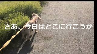 カイ太陽を浴びる