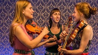 Sutari - Kupalnocka (Live on KEXP)