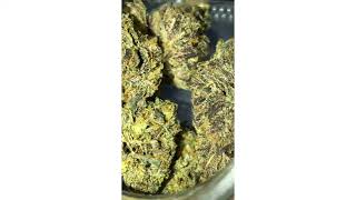 Guava x Biscotti Strain Review ( Smk Brk 420 )