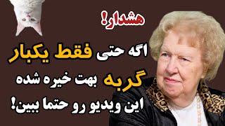 راز عجیب گربه ها! اگه گربه ای به تو خیره شده این یه هشداره و ساده ازش نگذر!