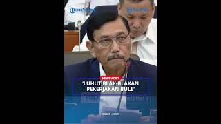 LUHUT Blak-blakan Pekerjakan Warga Asing untuk Bangun Istana Presiden di IKN