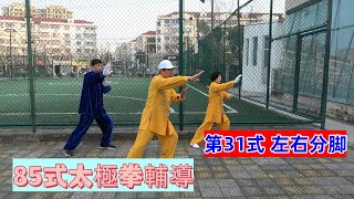 【教学辅导】85式杨氏太极拳分解教学（第三十一式）【左右分脚】Movement Guidance：Yang Style Tai Chi 85 (Form 31）