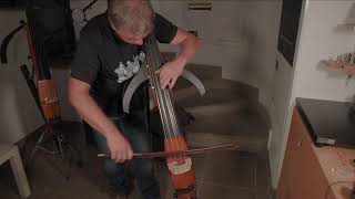 ALTER EGO Upright Bass: EVO Line