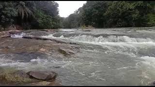 Vattathil Waterfall Kalladathanni kollam