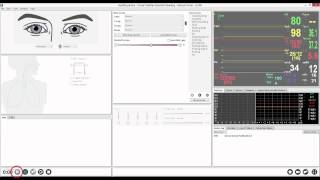 How to Start a Simulation in Manual Mode - LLEAP