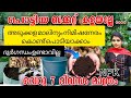 kitchen waste നിമിഷനേരംകൊണ്ട് പൊടിയാകുന്ന സൂത്രവിദ്യ /kichen compost/poppy vlogs/malayalam