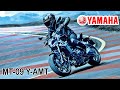 2024 Yamaha MT-09 Y-AMT -All colors & specs