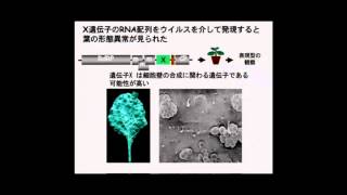 京都大学全学共通科目「農学の新戦略」奥野　哲郎（農学研究科 教授）2011年6月9日