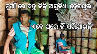 ନୂଆଁ ରେ ଛତୁ ବିକ୍ରୀ କରିବା ପାଇଁ ଅସୁବିଧା ହେଉଥିଲା।। Dingiri chatu chasa।। Duriyan Vlog।। Daily Vlog।।