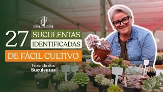 27 SUCULENTAS IDENTIFICADAS DE FÁCIL CULTIVO